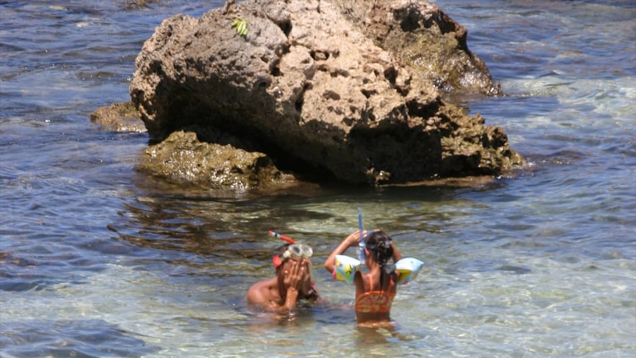 Pupukea Beach Park showing swimming, landscape views and snorkeling