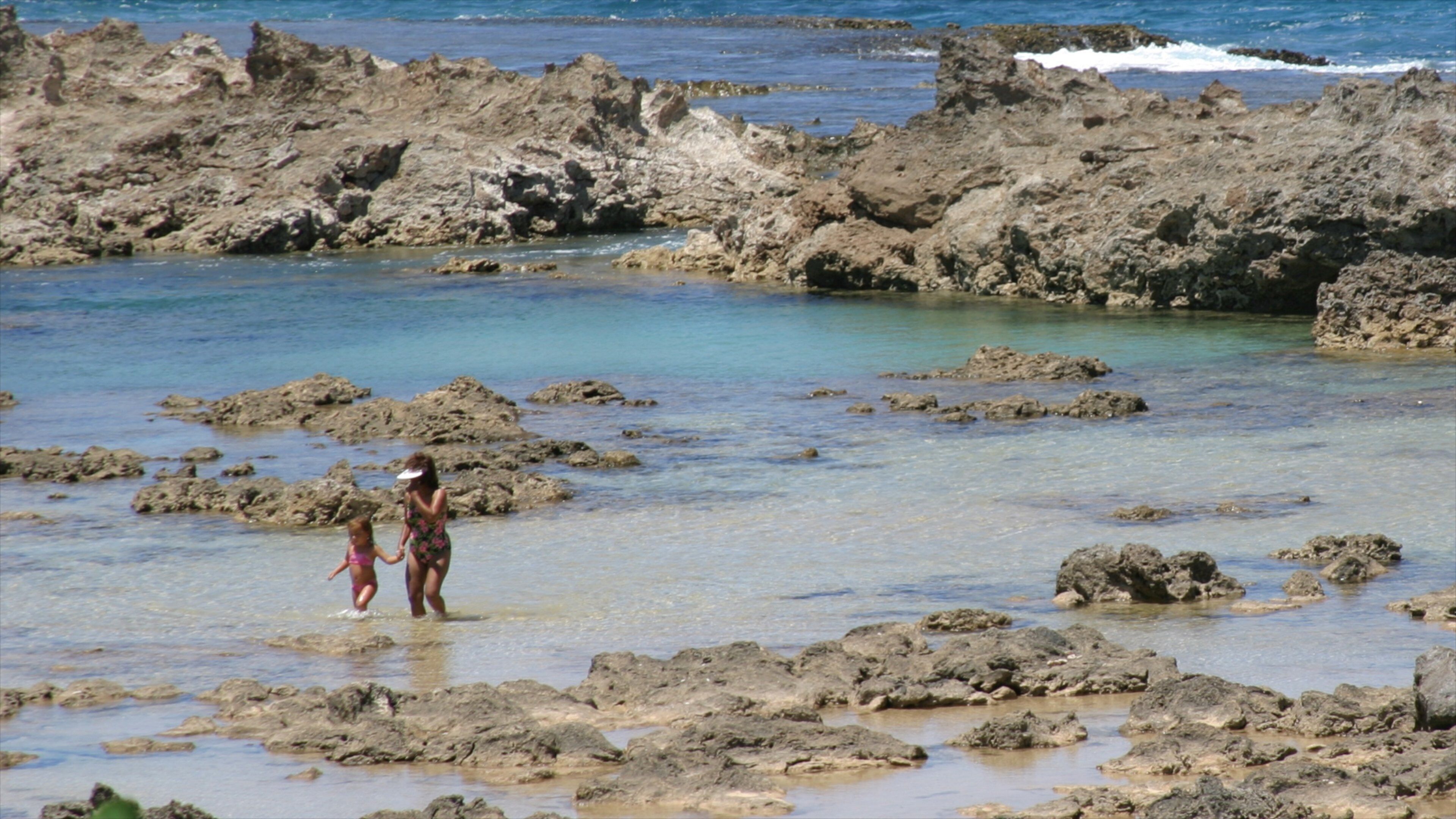 Pupukea Beach Park which includes general coastal views and rocky coastline as well as a family