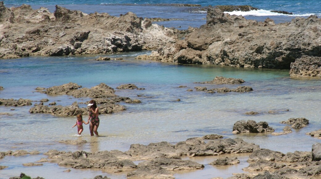 Pupukea Beach Park which includes general coastal views and rocky coastline as well as a family