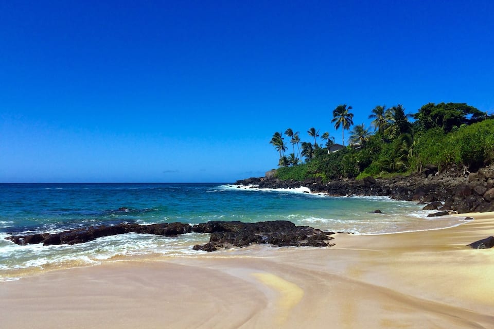 A beach with clear blue water, sandy shore, and palm trees.