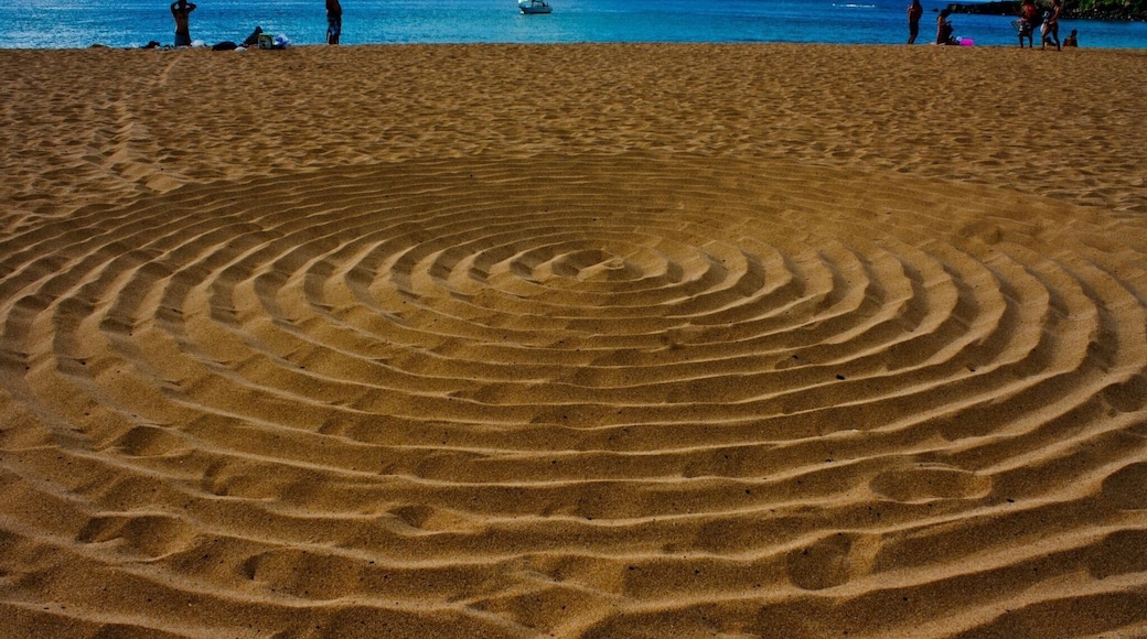 Awesome day at the beach. Waimea Beach is one of the famous beach in Hawaii.
#BeachBound