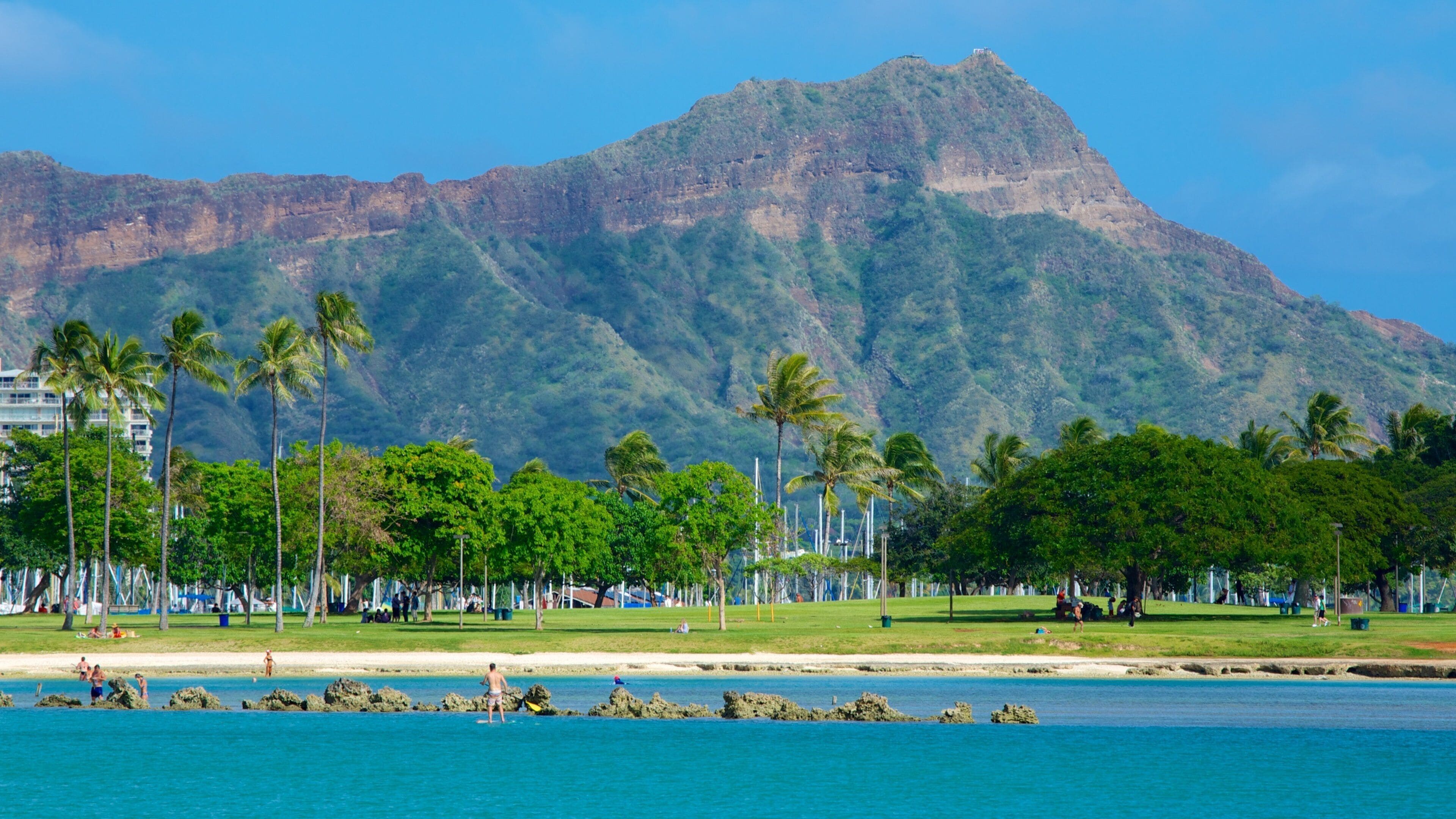 Ala Moana Beach Park showing a park, a beach and tropical scenes