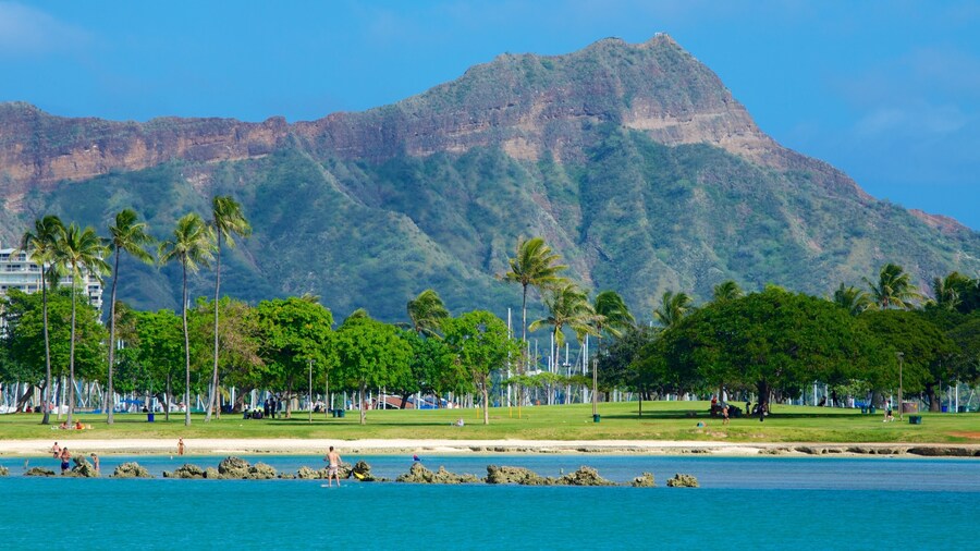 Ala Moana Beach Park showing a park, a beach and tropical scenes