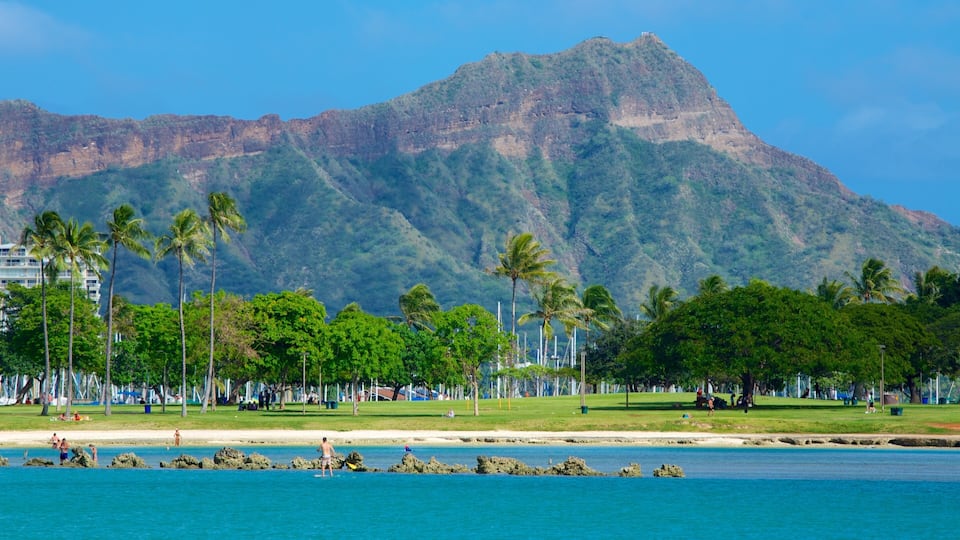 Ala Moana Beach Park showing a park, a beach and tropical scenes