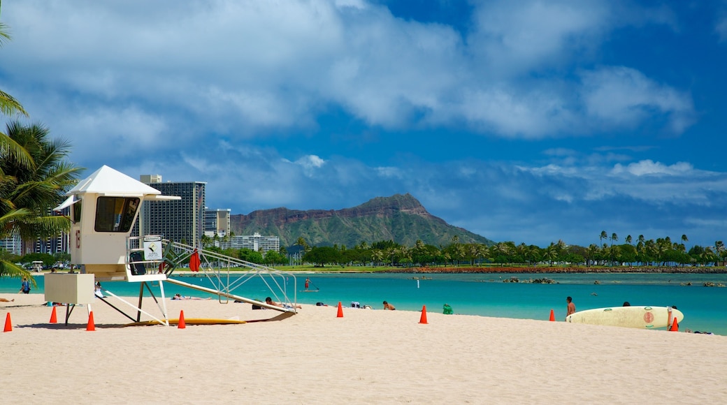 Ala Moana Beach Park showing surfing, tropical scenes and swimming