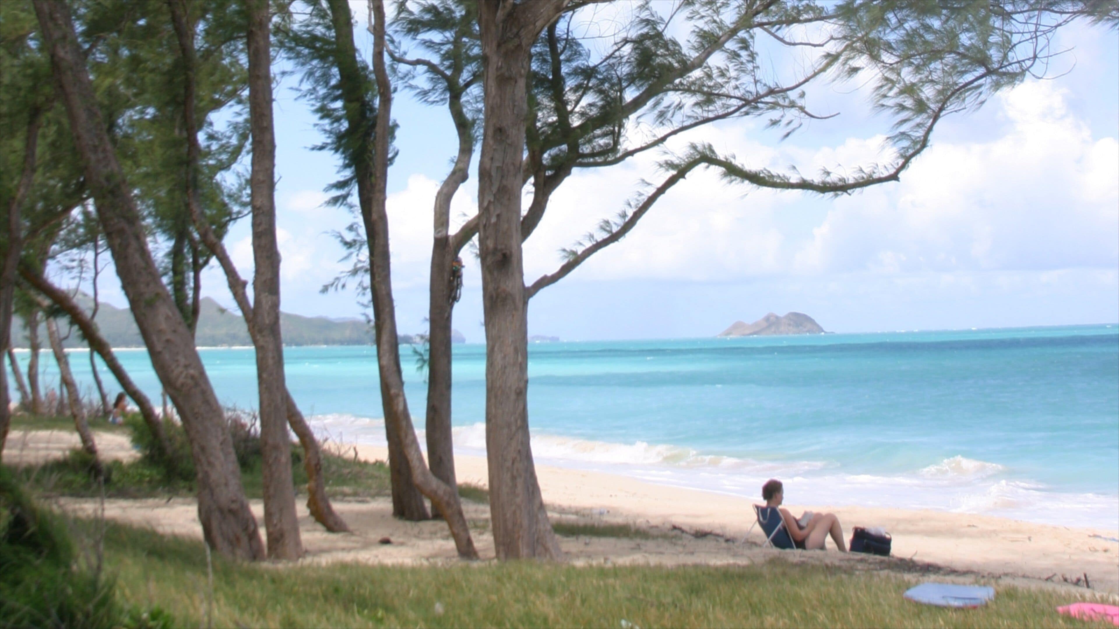 Waimanalo Beach featuring a sandy beach and general coastal views as well as an individual femail