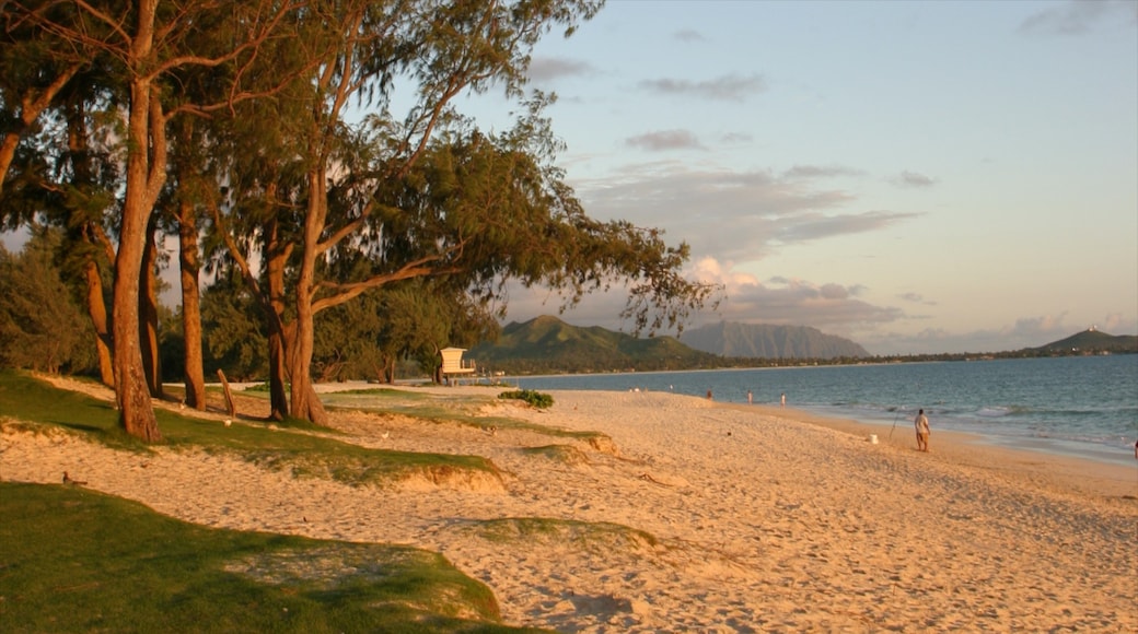 Waimanalo Beach showing landscape views, a sandy beach and a sunset