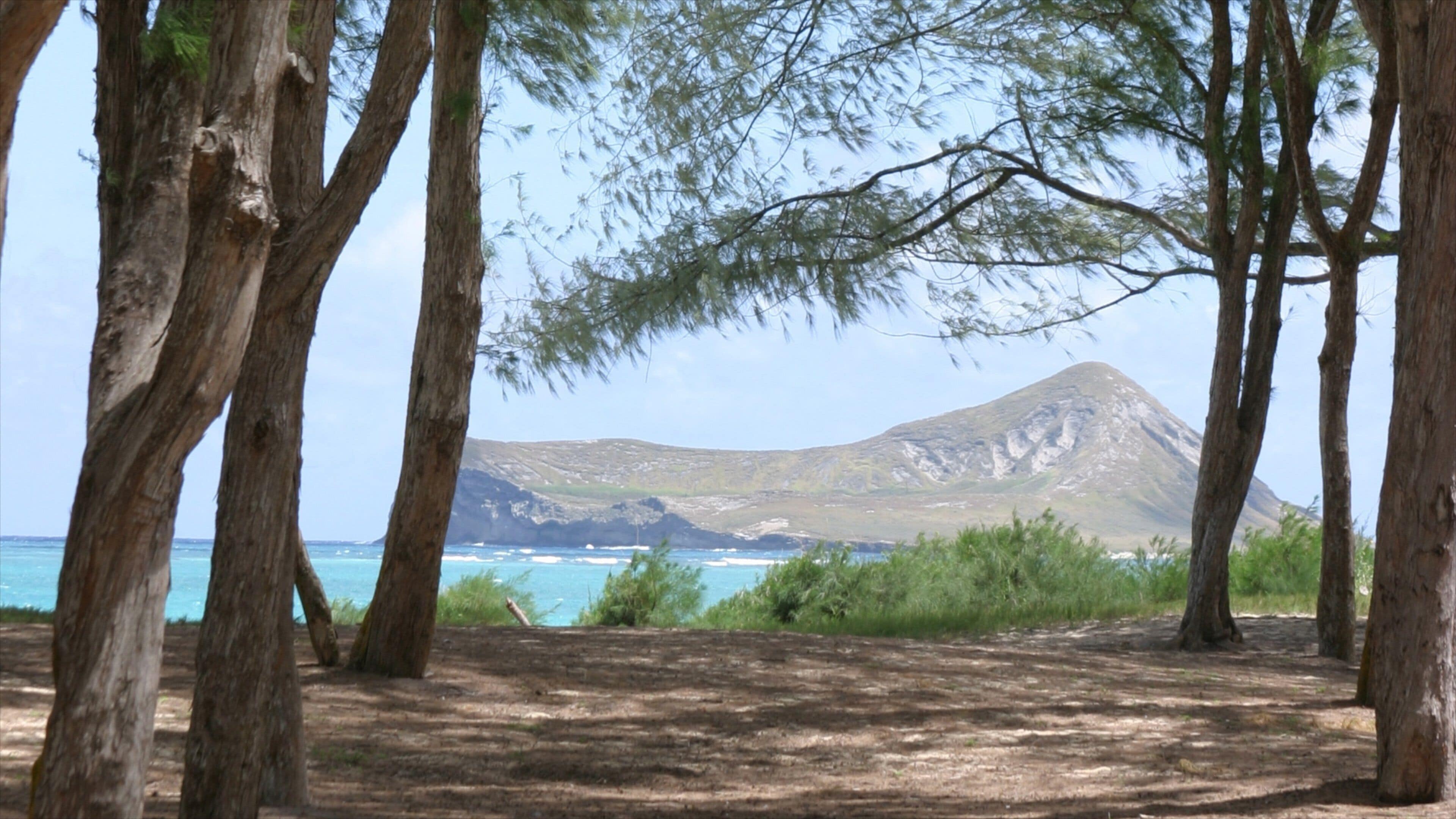 Waimanalo Beach inclusief landschappen, algemene kustgezichten en bergen