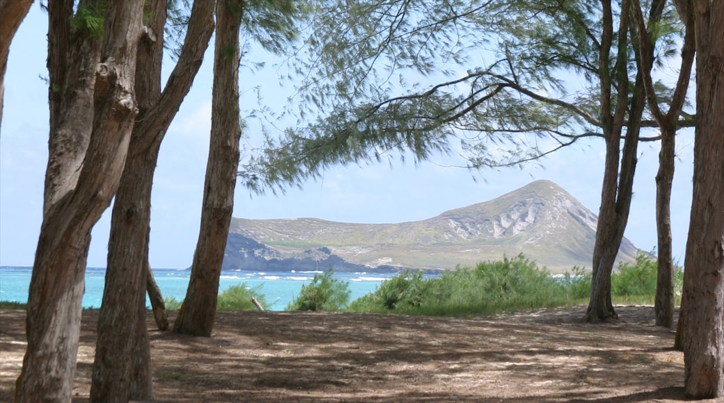 Waimanalo Beach inclusief landschappen, algemene kustgezichten en bergen
