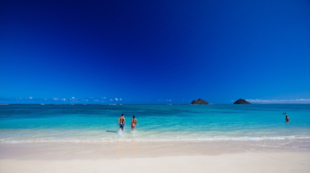 Kailua Beach which includes swimming, a beach and landscape views