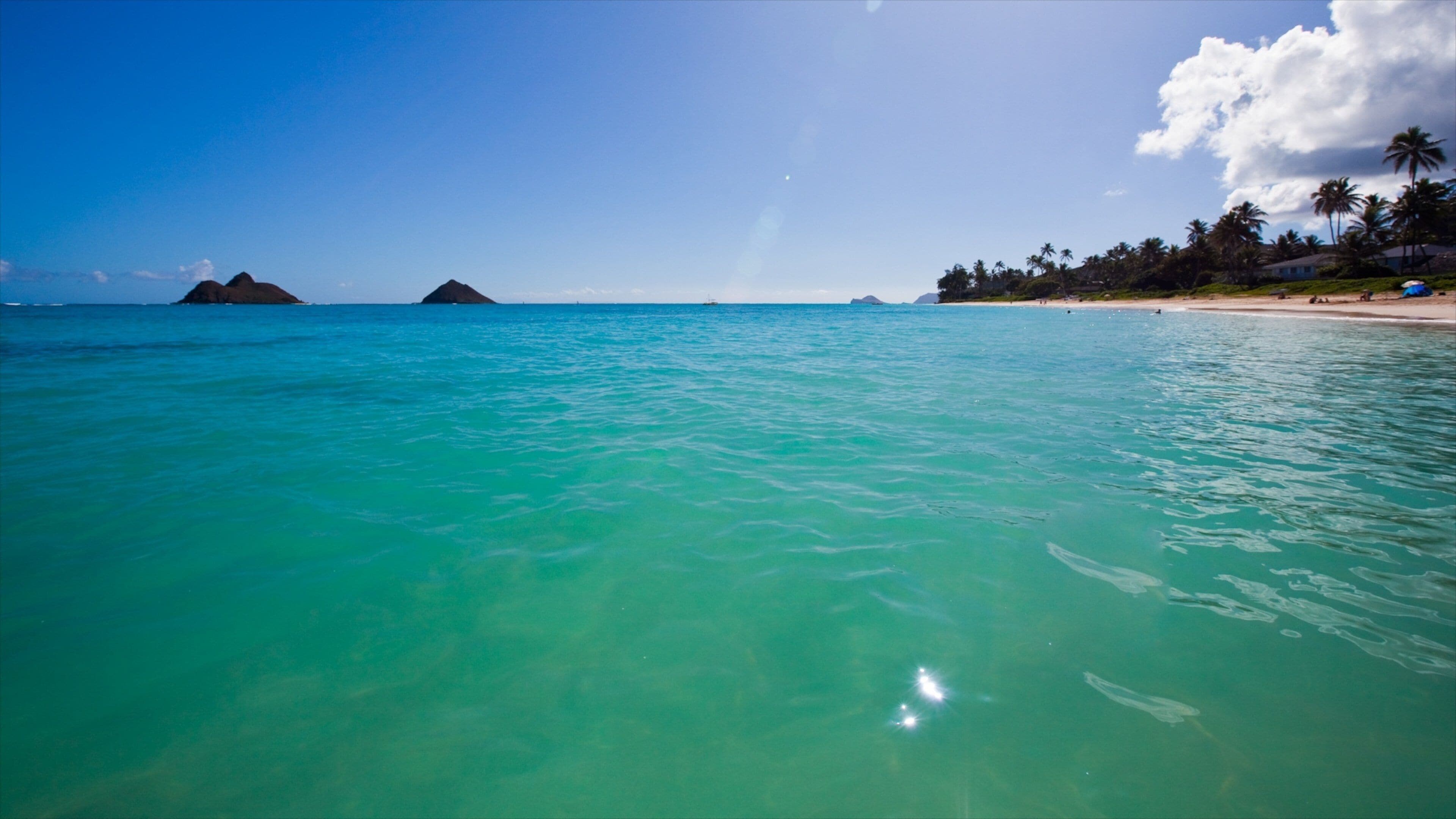 カイルア ビーチ (ビーチサイド) - ツアーとアクティビティ | エクス