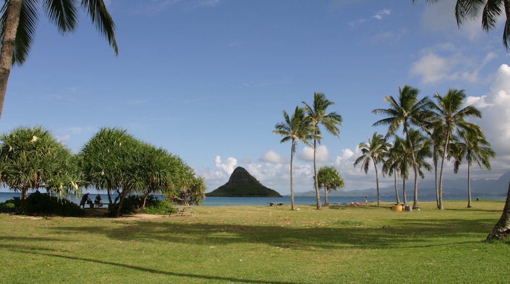庫亞洛亞海灘公園 其中包括 山水美景, 山 和 花園