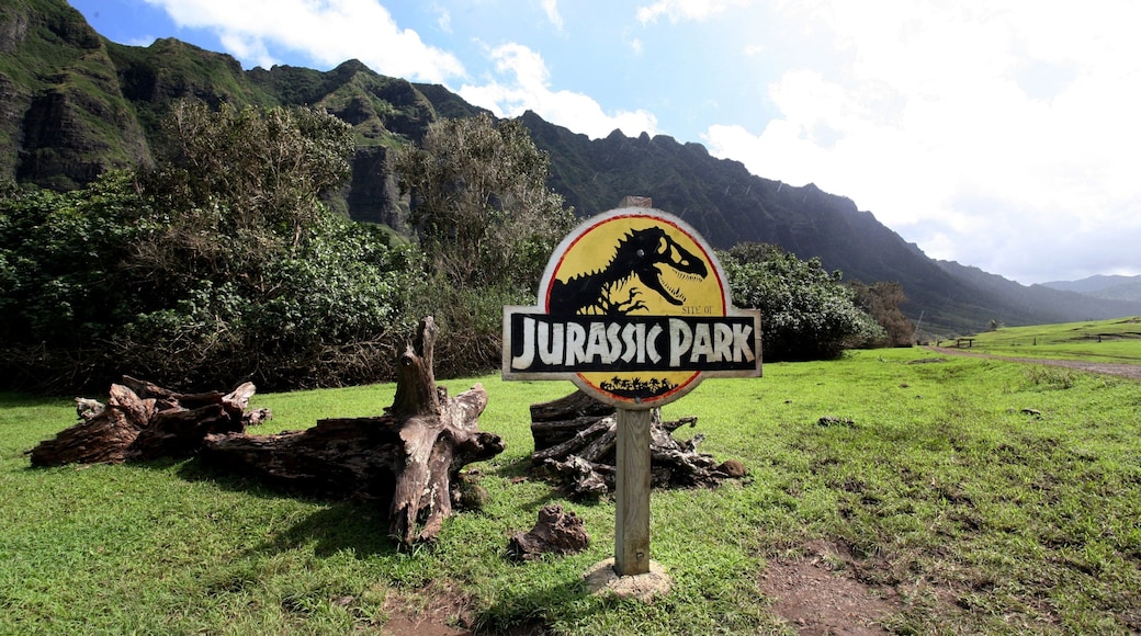 庫亞洛亞海灘公園 其中包括 指示牌, 山水美景 和 山