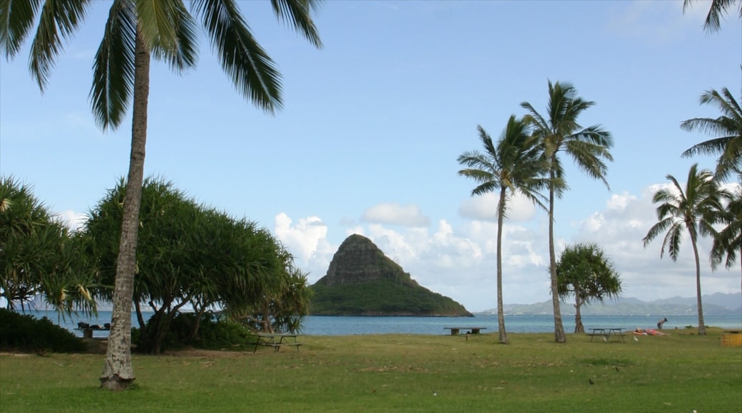 Kualoa Beach Park which includes island images, a garden and tropical scenes