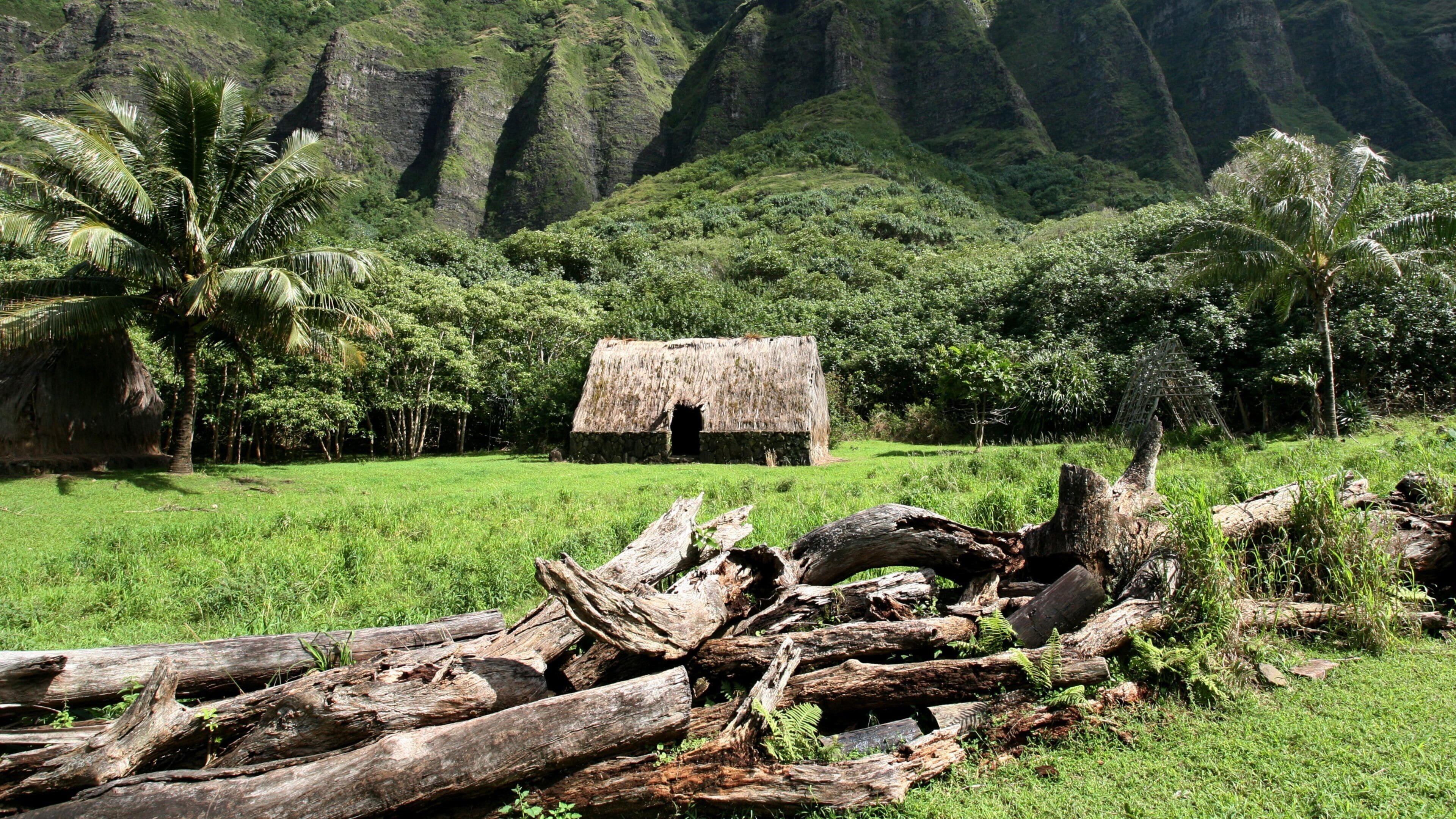Kualoa Beach Park ซึ่งรวมถึง วิวทิวทัศน์ และ สวน
