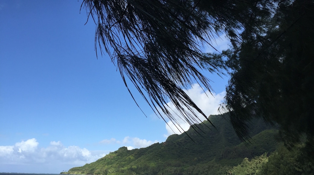 Peace and tranquility