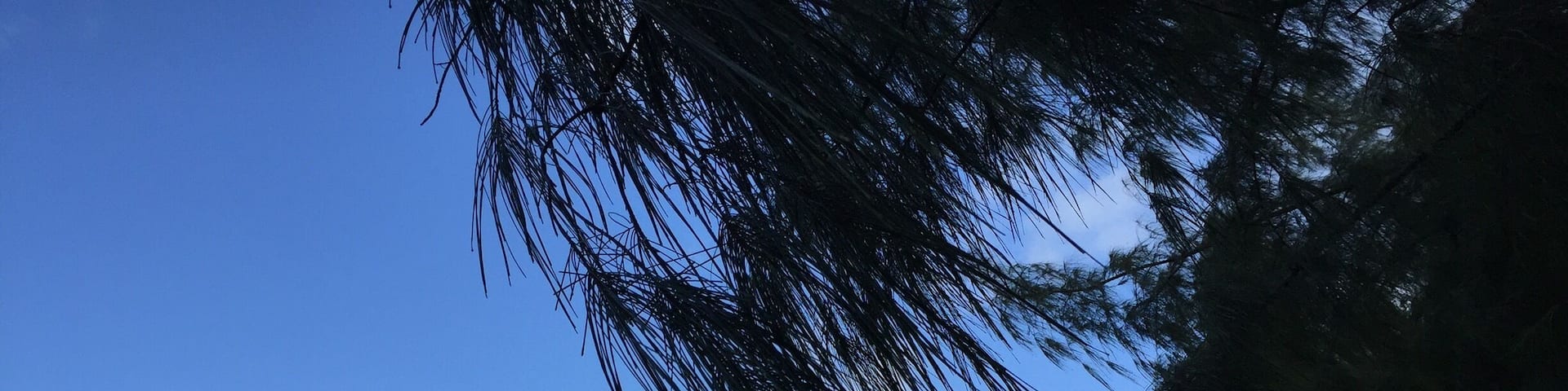 Peace and tranquility