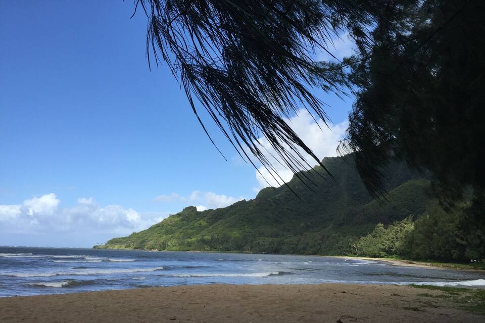 En strand med bølger, en klar himmel og en skovklædt bakke.