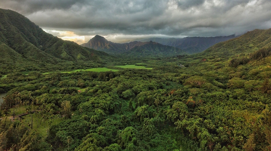 Sunrise here in Hawaii