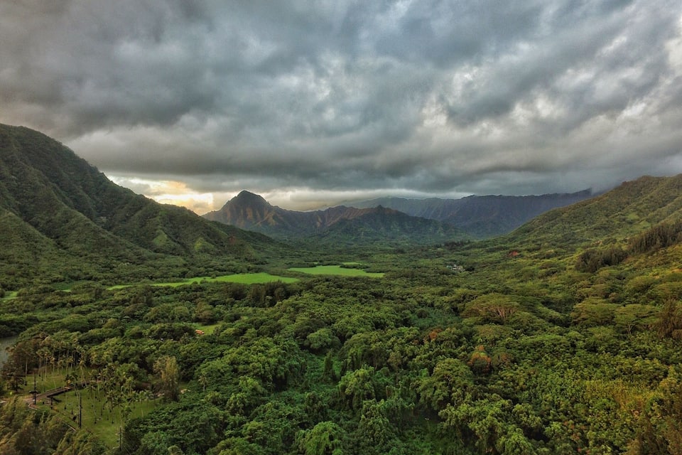 A lush valley with dense greenery, a river, and distant mountains under a cloudy sky.