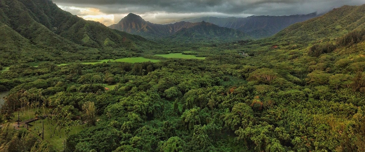 A lush valley with dense greenery, a river, and distant mountains under a cloudy sky.