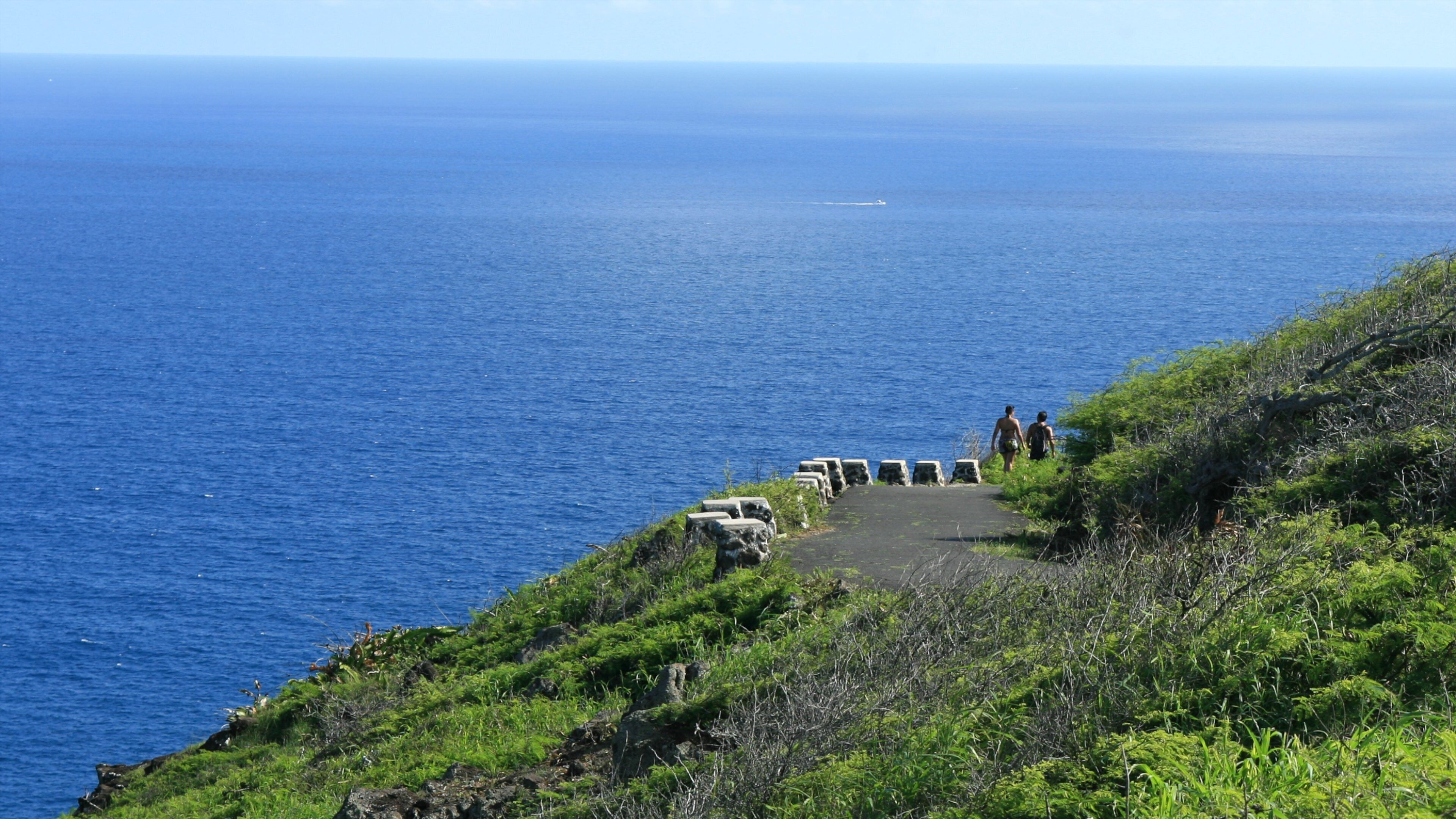 Makapuu Beach Park showing general coastal views and landscape views