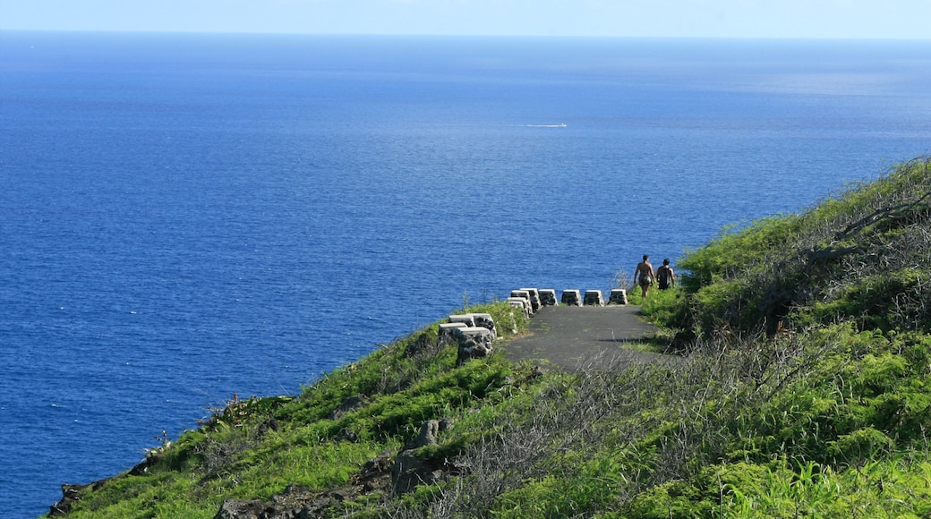 Makapuu Beach Park mostrando vistas generales de la costa y vistas de paisajes