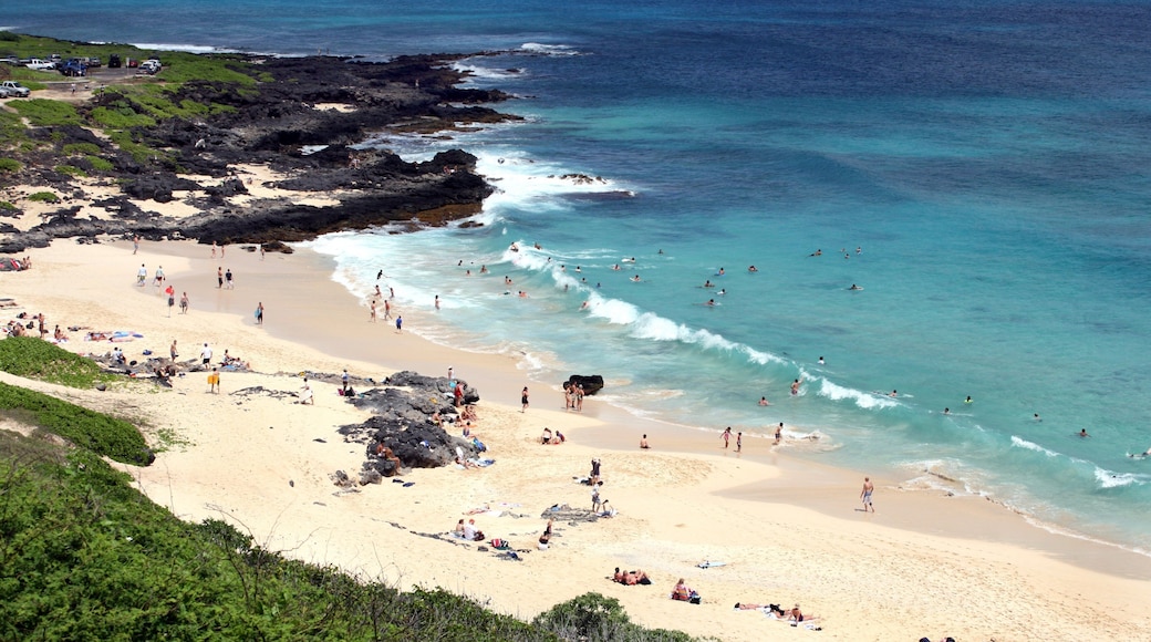 Makapuu Beach featuring a sandy beach, swimming and rugged coastline
