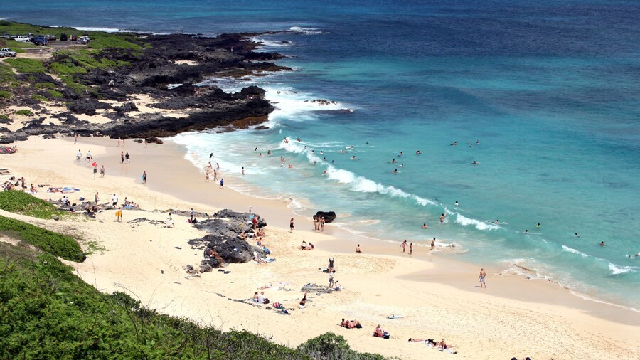 Makapuu Beach featuring a sandy beach, swimming and rugged coastline