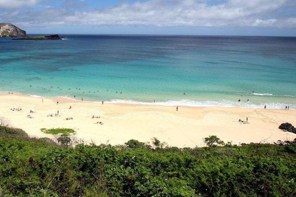 Una playa con aguas turquesas cristalinas, orilla de arena y exuberante vegetación en primer plano.