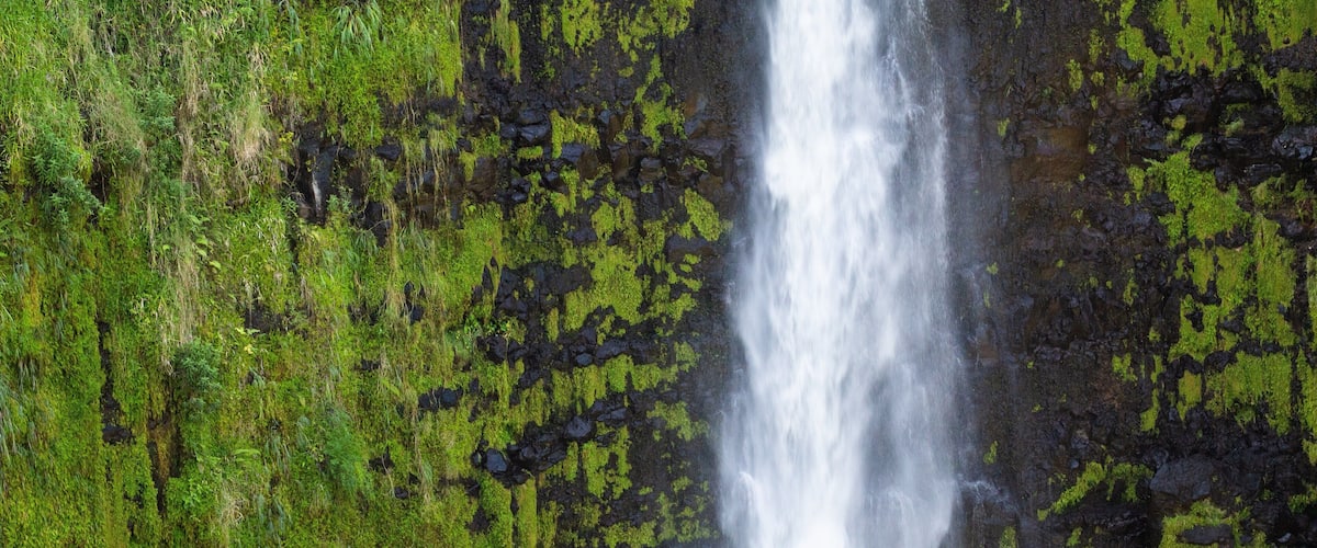 Akaka Falls which includes a waterfall