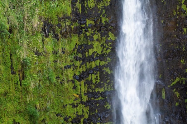 Akaka Falls which includes a waterfall