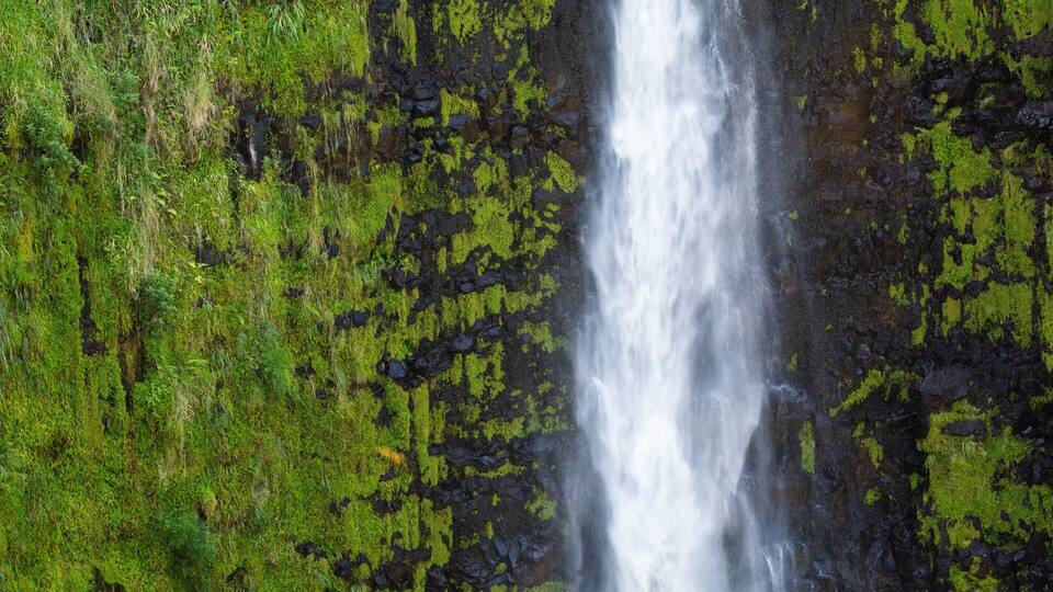 A waterfall cascading over a moss-covered rock face.