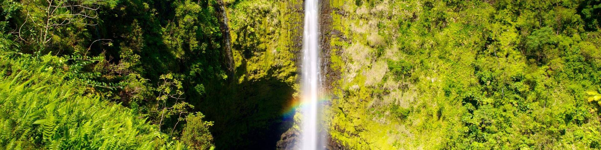 Akaka Falls featuring landscape views and a cascade