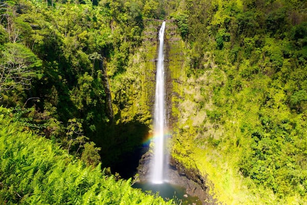 Akaka Falls featuring landscape views and a cascade