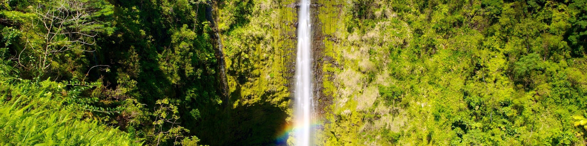 Akaka Falls caracterizando uma cachoeira e paisagem
