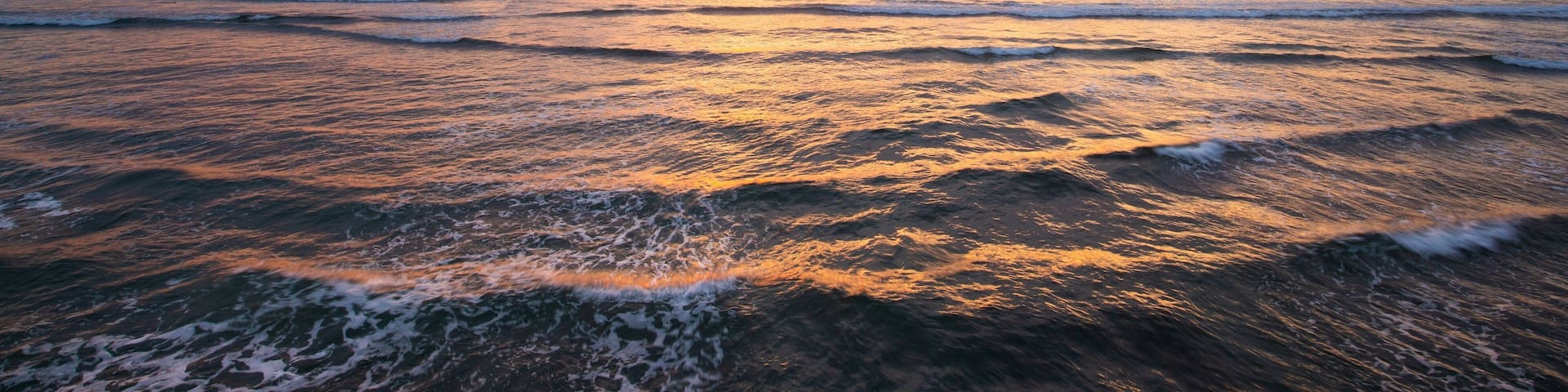 Torrey Pines State Beach which includes general coastal views and a sunset