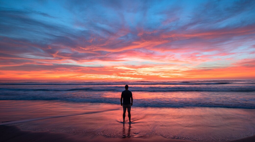 Torrey Pines State Beach featuring a sandy beach, general coastal views and a sunset