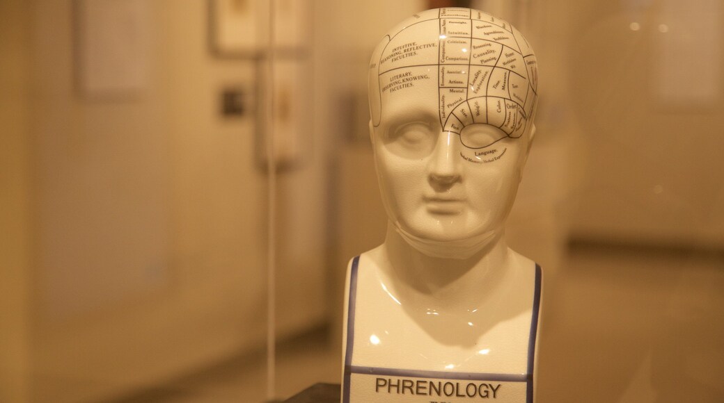 Museum of Photographic Sciences featuring a statue or sculpture