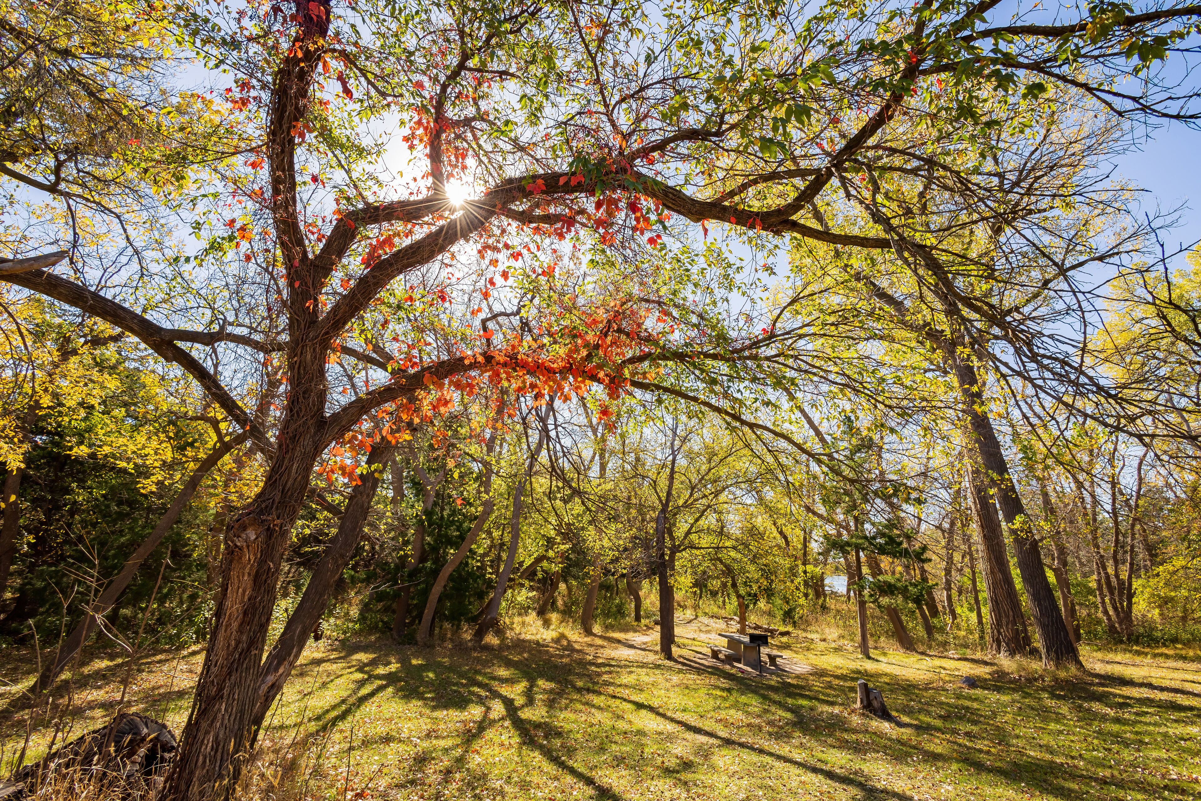 Sunny view of the landscape inside the Boiling Springs State Park