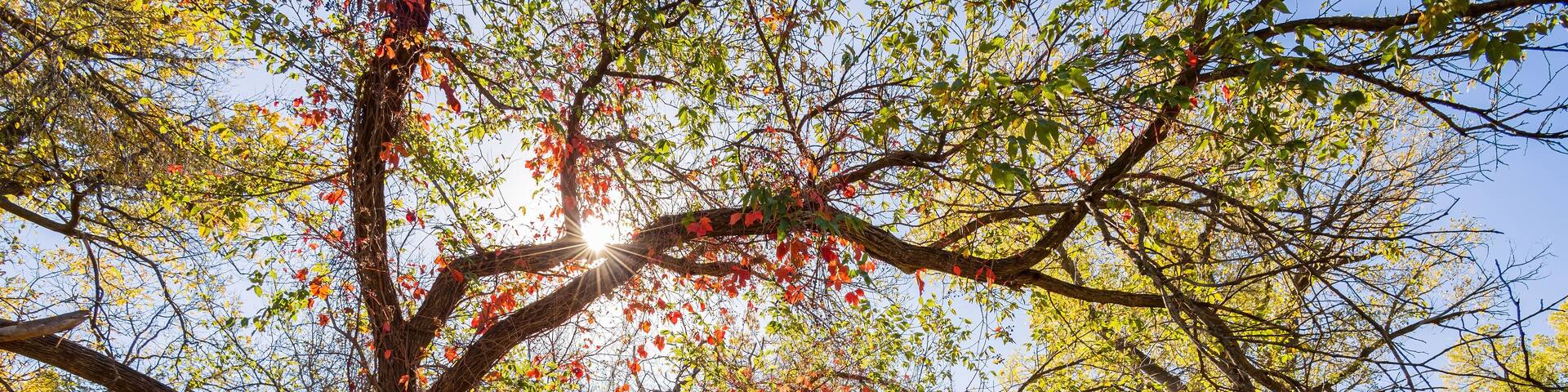 Sunny view of the landscape inside the Boiling Springs State Park