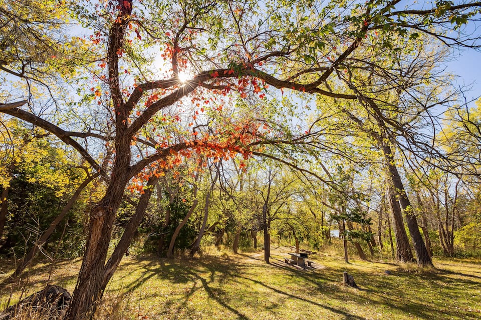 Een park met bomen, een picknicktafel en een bank.