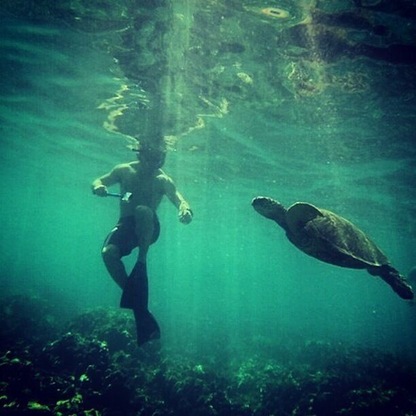 Super epic coral and some really good sea life! Right off the beach. All you need is the gear. You don't need any tours or anything at all :)