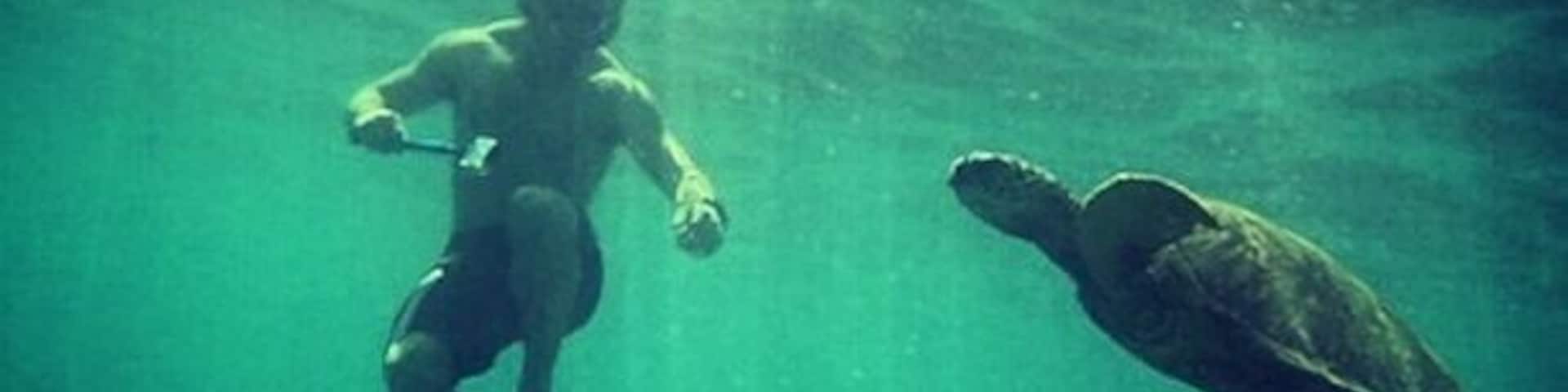 Super epic coral and some really good sea life! Right off the beach. All you need is the gear. You don't need any tours or anything at all :)