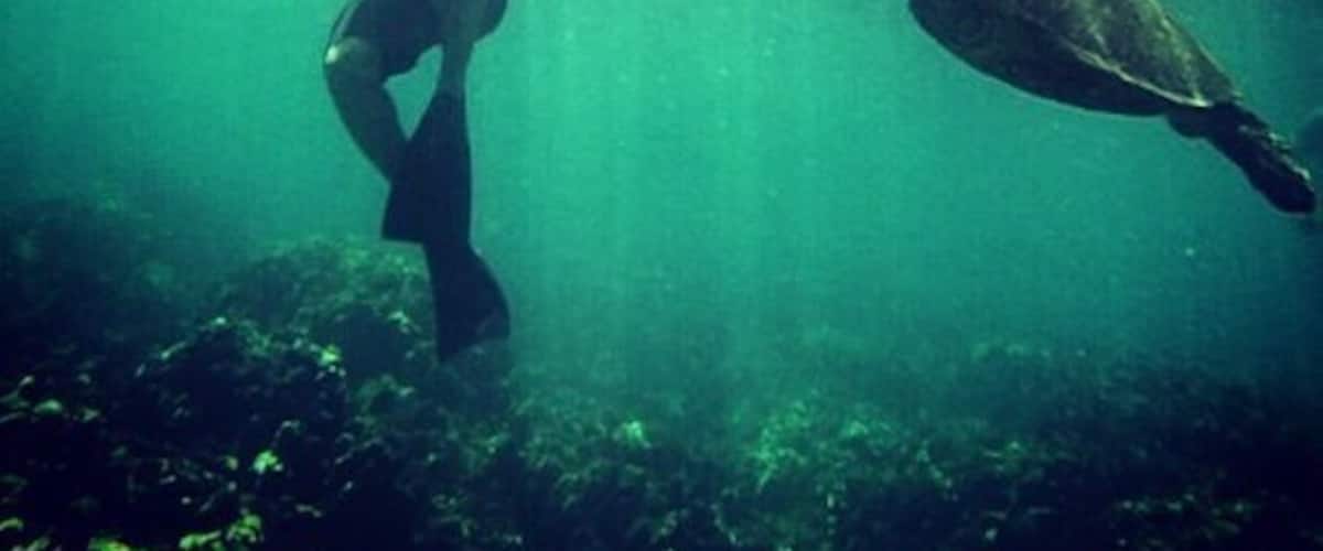 An underwater scene with a diver and a turtle.
