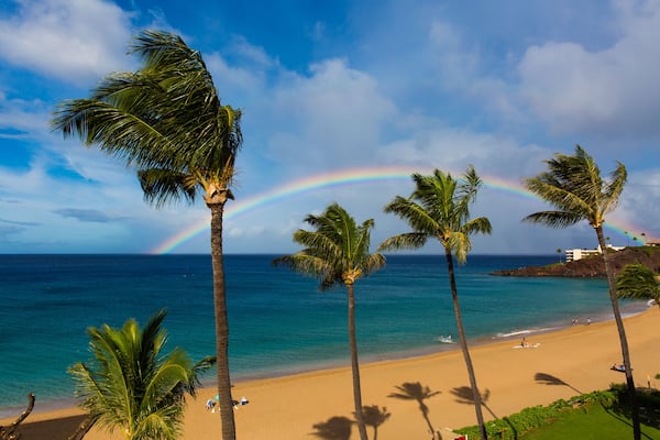 Ein Strand mit Palmen und einem Regenbogen über dem Ozean.