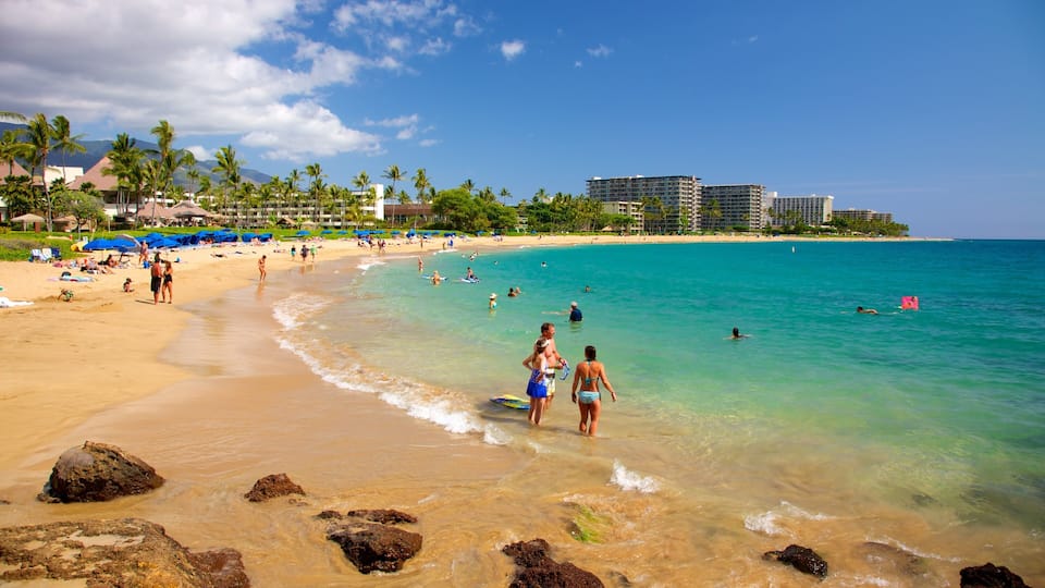 A beach with clear turquoise water, people swimming and sunbathing, and palm trees.