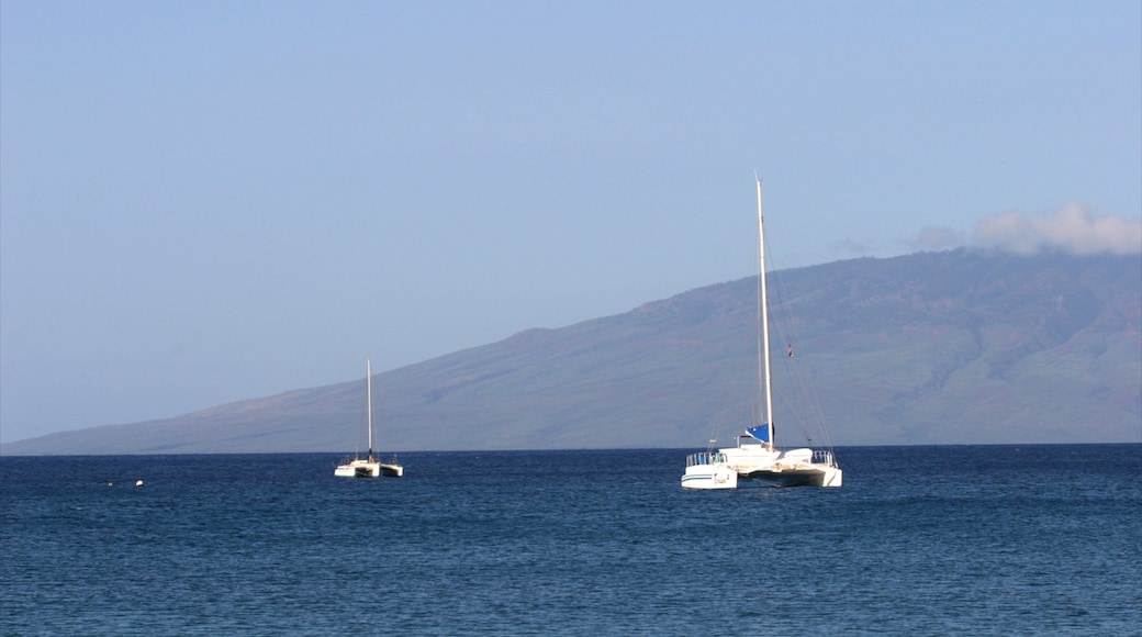 Kapalua Beach inclusief tropische uitzichten
