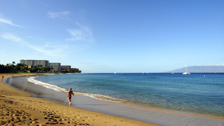 Kapalua Beach featuring a beach