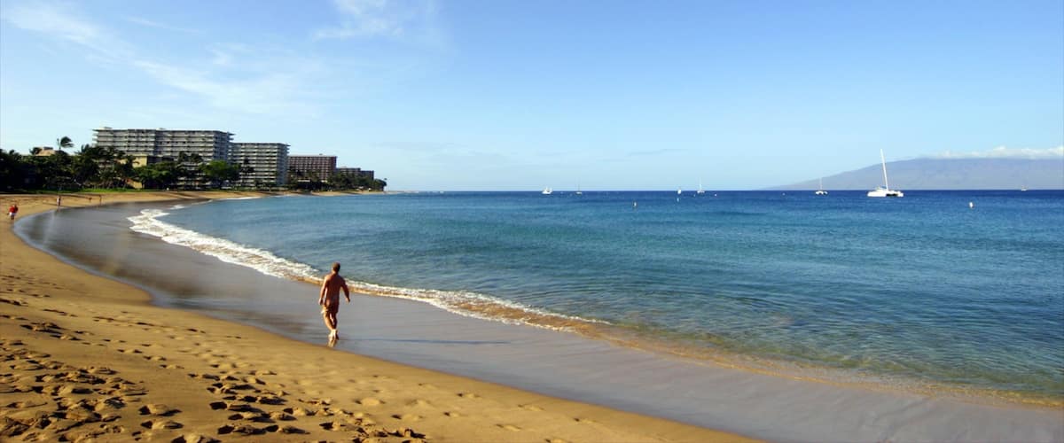 A beach with a person walking along the shore, a clear blue sky, and a distant mountain.
